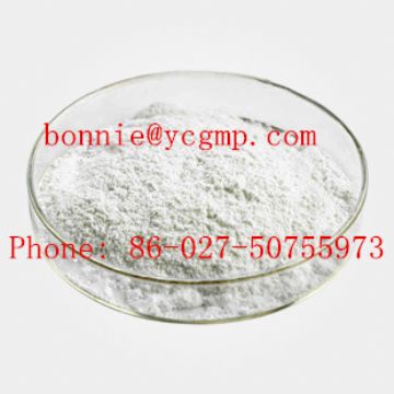 Methylamine Hydrochloride   With Good Quality